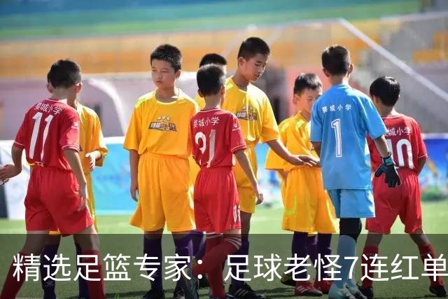 精选足篮专家：足球老怪7连红单日6中6 鲁跃6连红